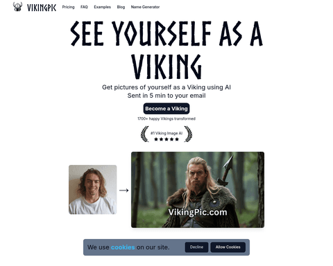 VikingPic